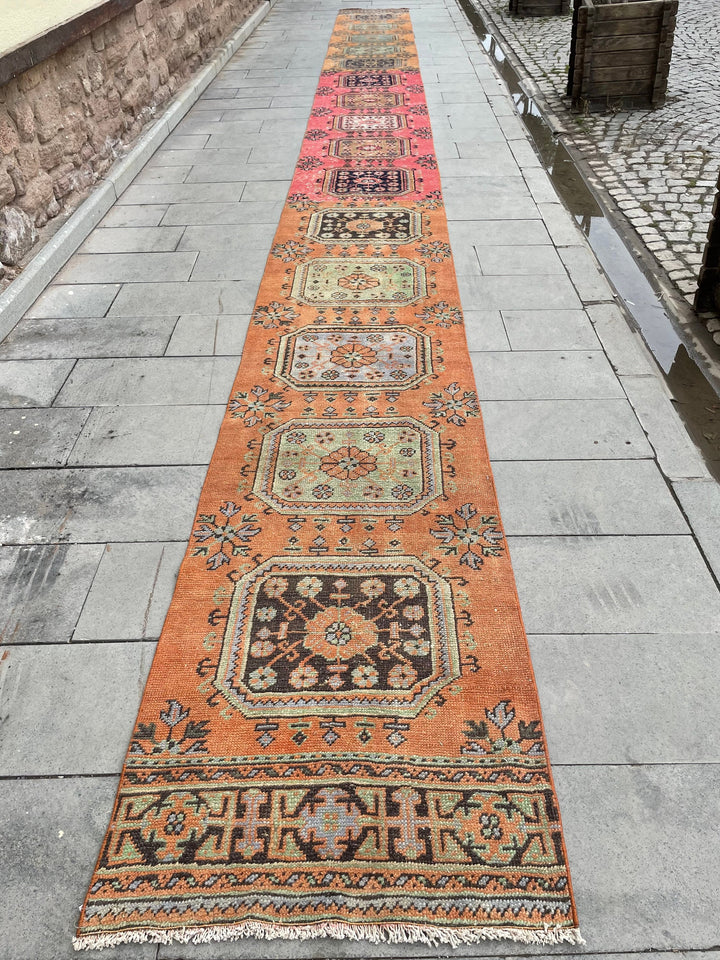 Beige Turkish Runner Rug 2' 7" x 30' 7" Hand-Knotted border