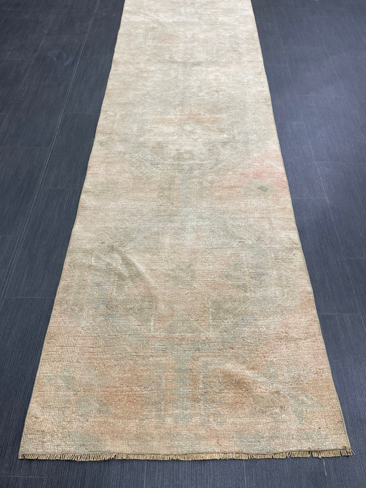 Brown Turkish Runner Rug 2' 9" x 12' 2" Hand-Knotted | No. WR88940