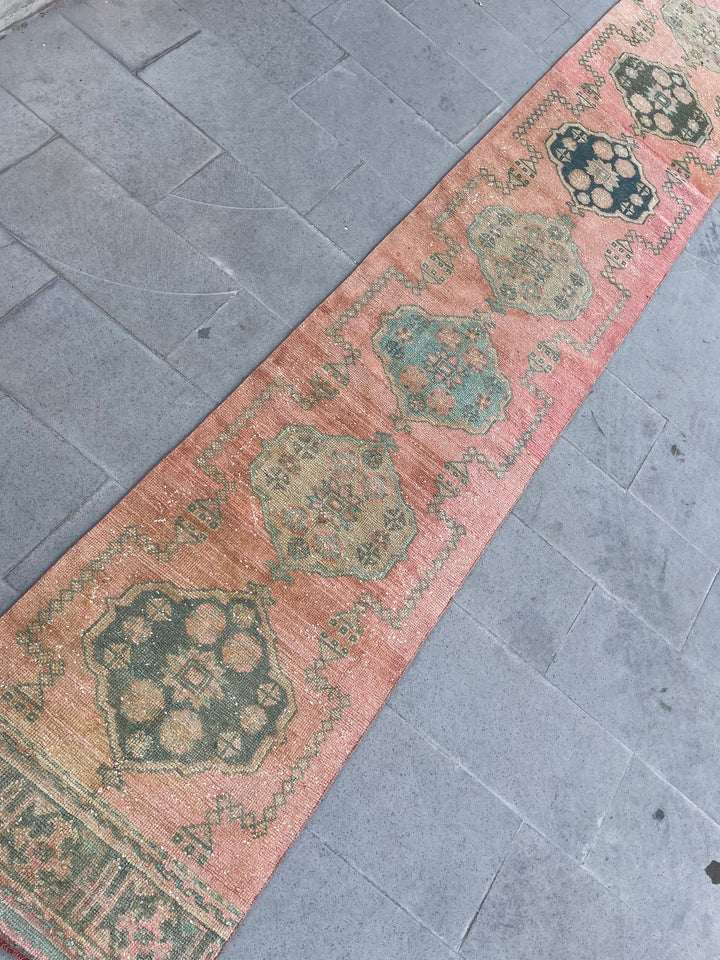 Beige Turkish Runner Rug 2' 6" x 18' 10" Hand-Knotted border