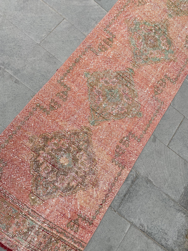 Beige Turkish Runner Rug 2' 9" x 19' 8" Hand-Knotted | No. WR92624