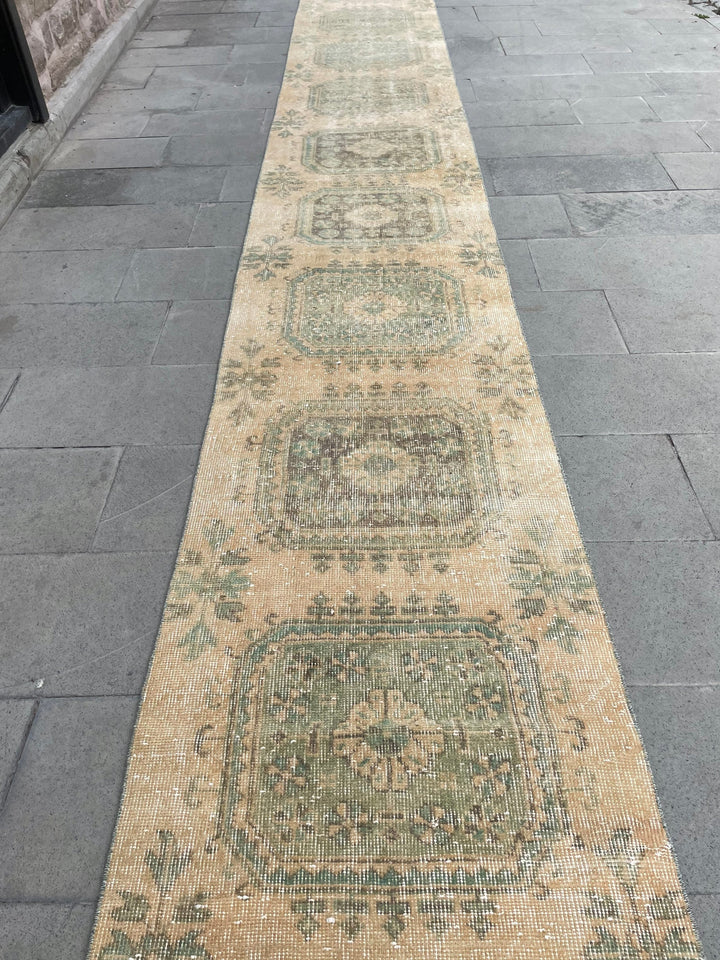 Beige Turkish Runner Rug 2' 7" x 21' 2" Hand-Knotted border