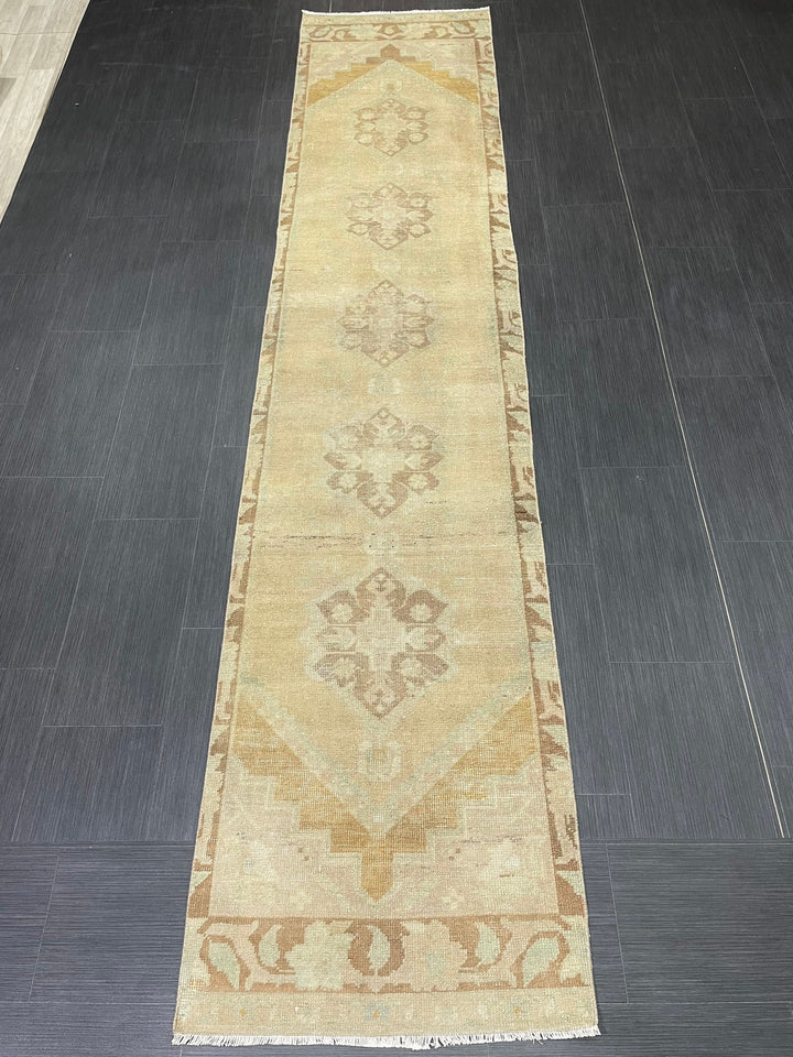 Turkish Runner Rug 2' 4" x 10' 11" Hand-Knotted border