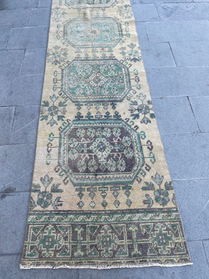 Beige Turkish Runner Rug 2' 7" x 19' 8" Hand-Knotted border