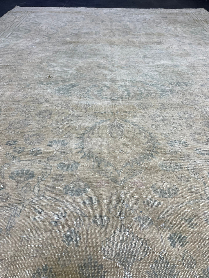 Rust Turkish Oushak Rug 6' 1" x 9' 6" Hand-Knotted border