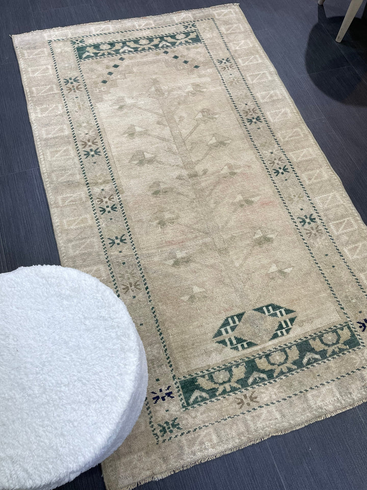 Beige Turkish Oushak Rug 3' 1" x 5' 2" Hand-Knotted border