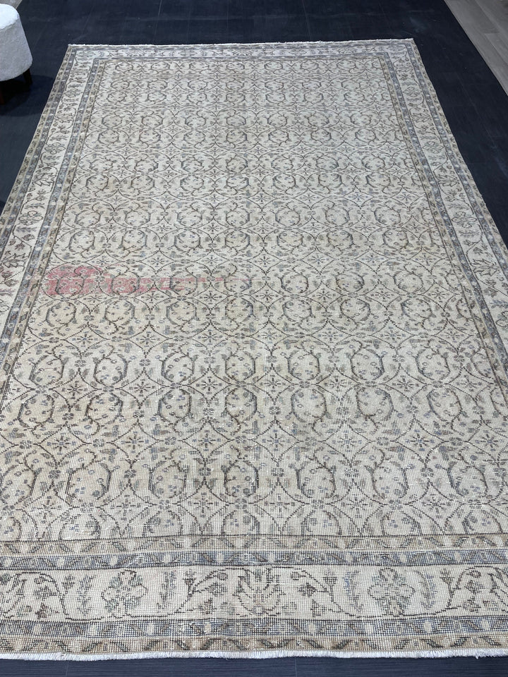 Beige Turkish Oushak Rug 6' 8" x 10' 6" Hand-Knotted border