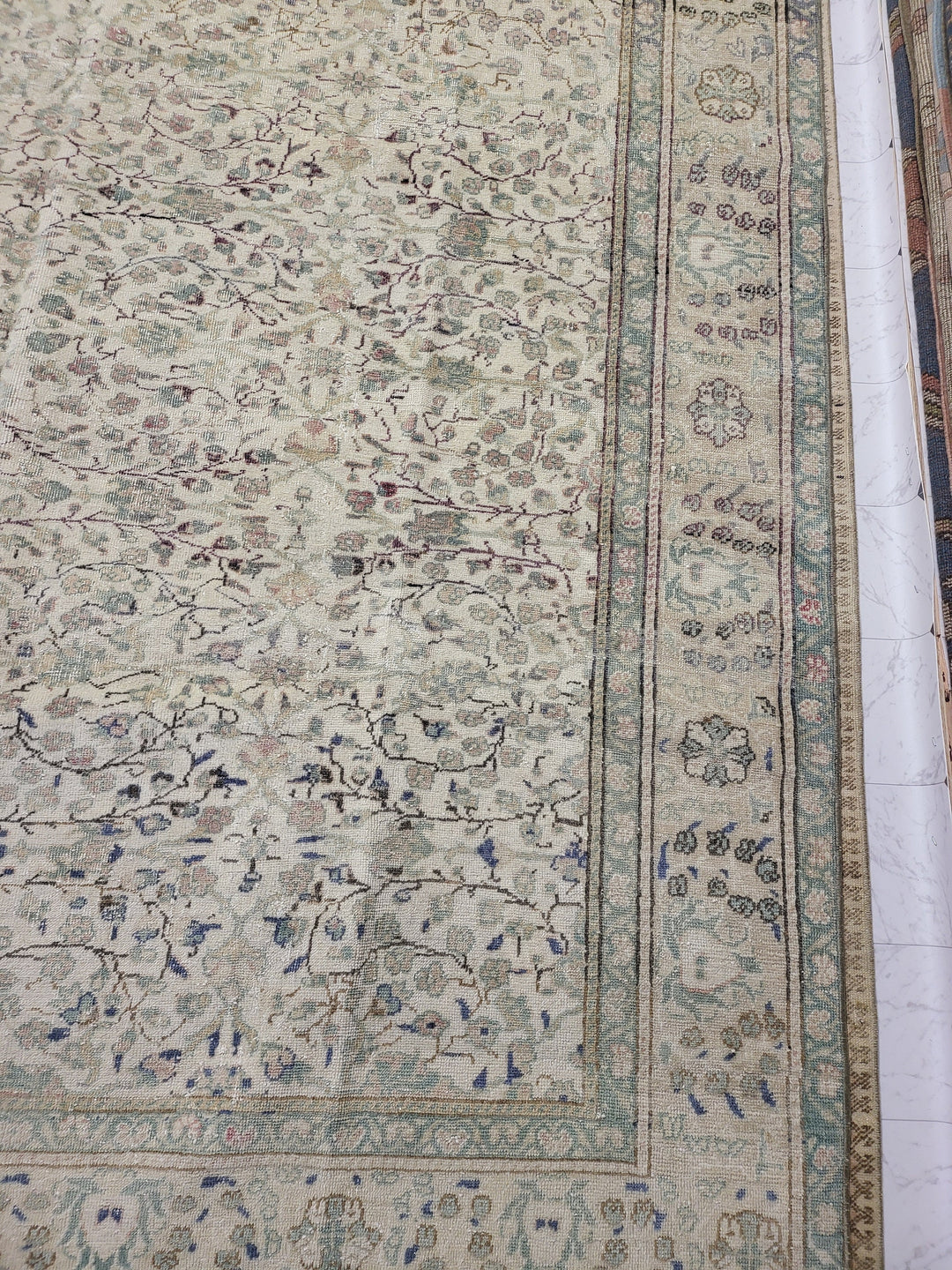 Beige Turkish Oushak Rug 6' 7" x 9' 4" Hand-Knotted border