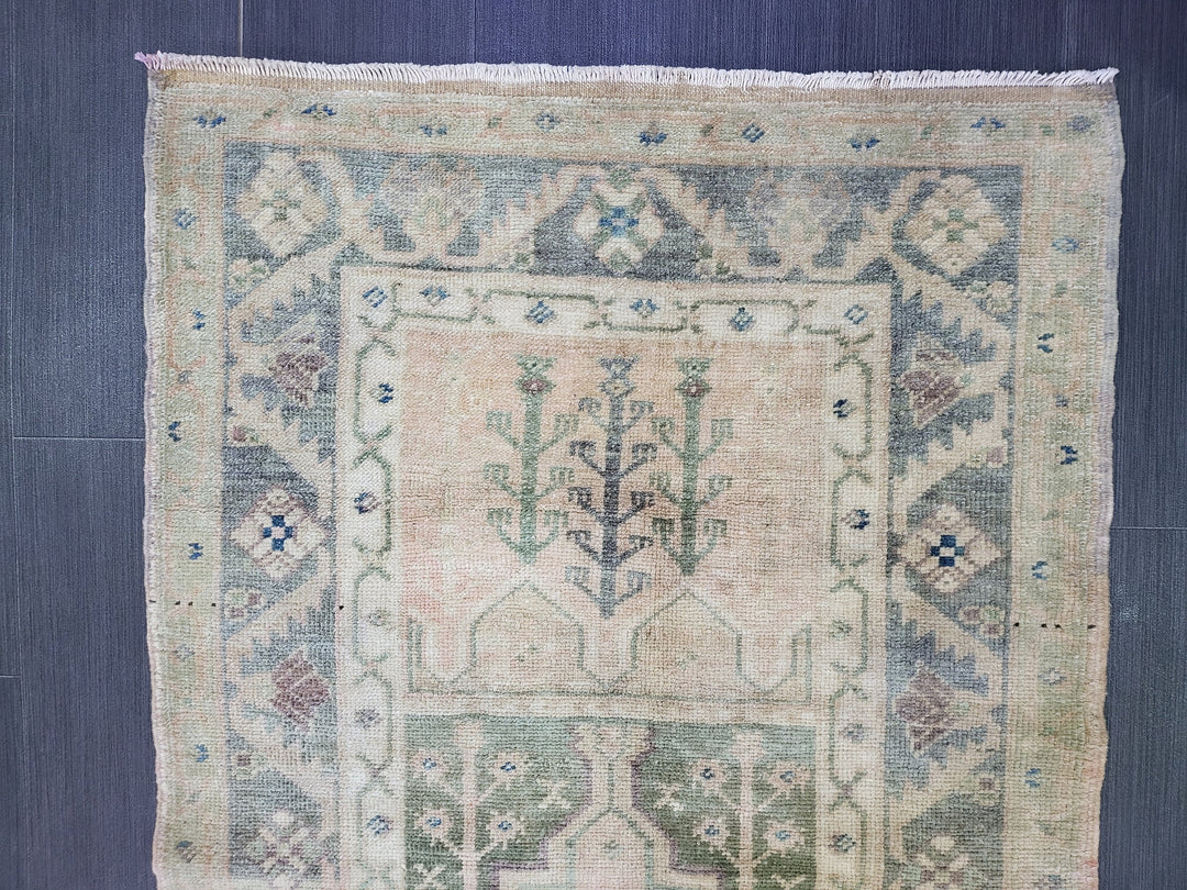 Rust Turkish Runner Rug 2' 9" x 4' 5" Hand-Knotted border