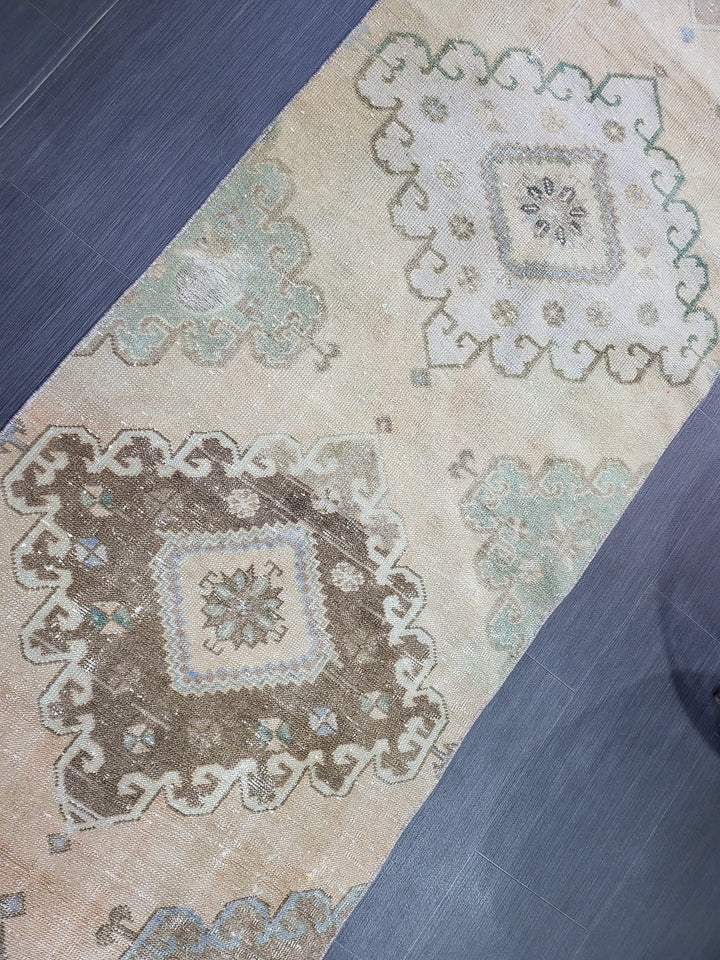 Rust Turkish Runner Rug 2' 7" x 12' 10" Hand-Knotted border