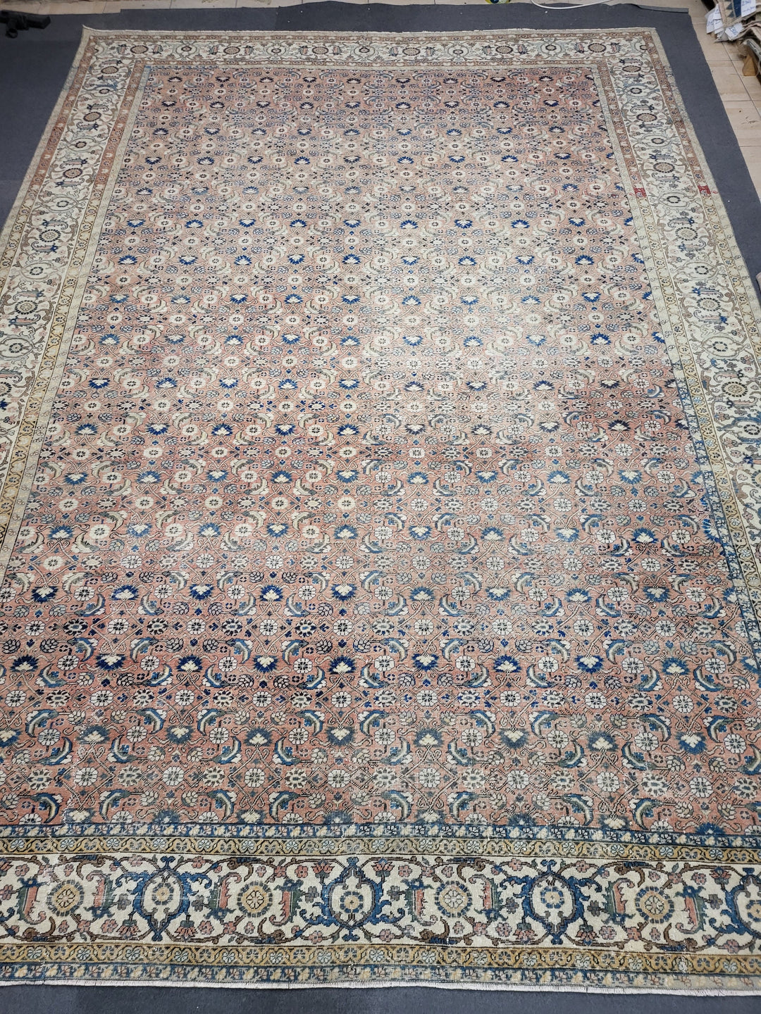 Turkish Oushak Rug 9' 1" x 12' 8" Hand-Knotted border