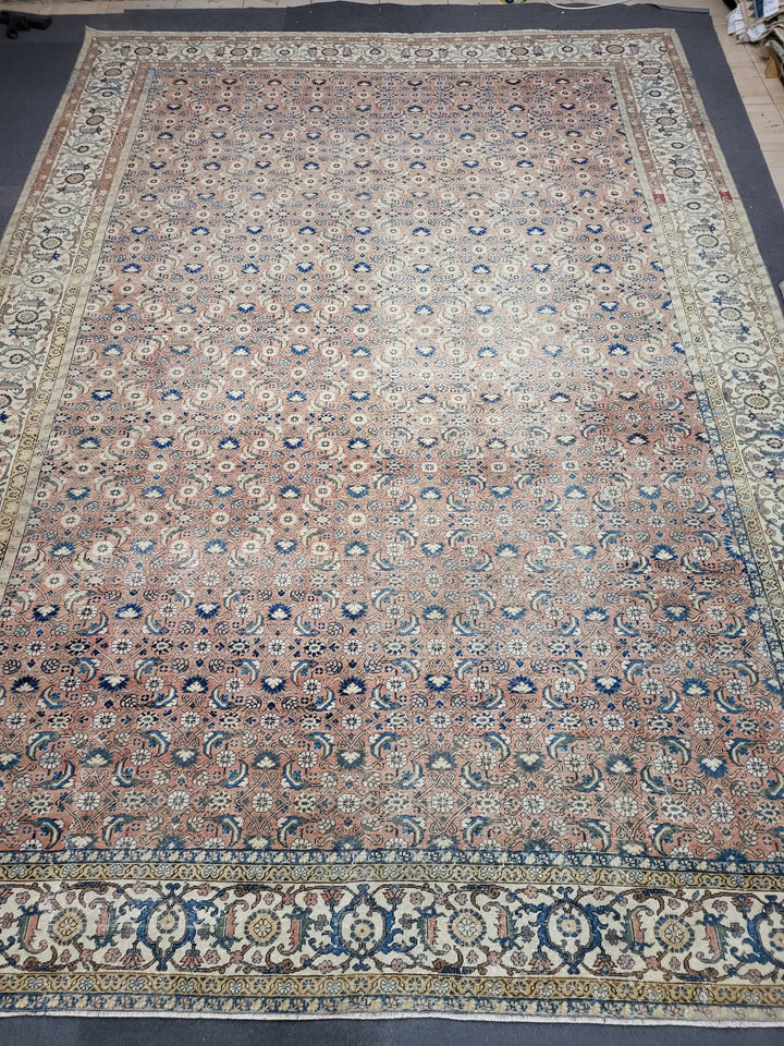 Turkish Oushak Rug 9' 1" x 12' 8" Hand-Knotted border
