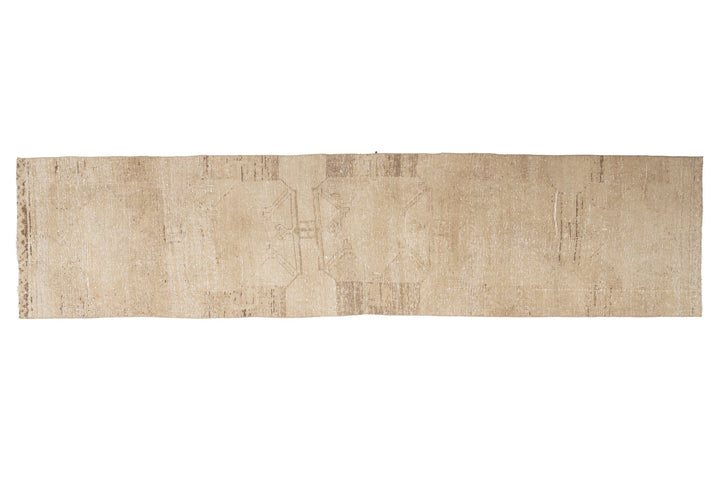 Runner Rug 2' 10" x 11' 2" | No. VR24638