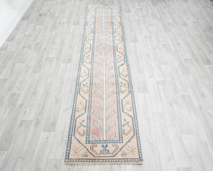 Beige Runner Rug 2' 4" x 10' 6" | No. VR61567