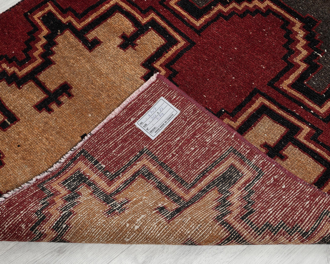 Runner Rug 10' 8" x 2' 10" | No. VR20554