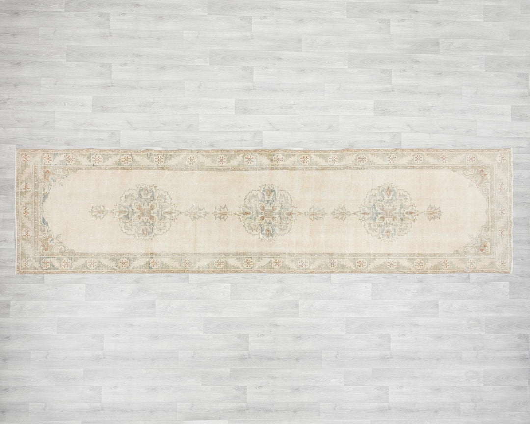 Runner Rug 2' 11" x 11' 5" | No. VR75169