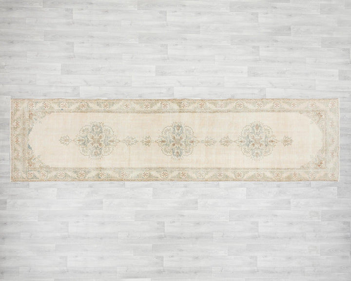 Runner Rug 2' 11" x 11' 5" | No. VR75169