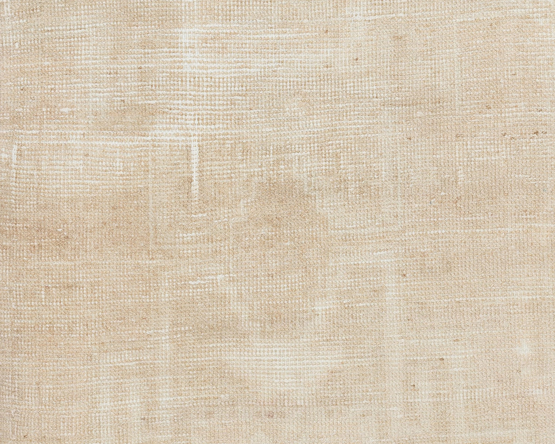 Beige Runner Rug 3' 1" x 11' 6" | No. VR40005
