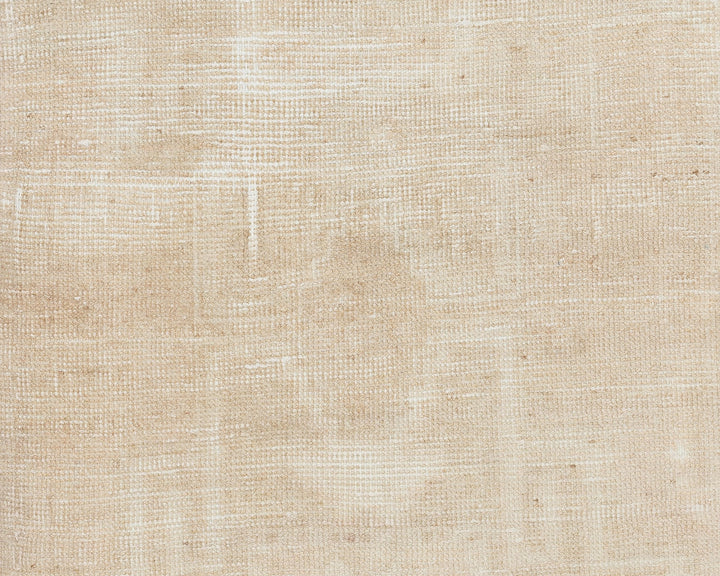 Beige Runner Rug 3' 1" x 11' 6" | No. VR40005