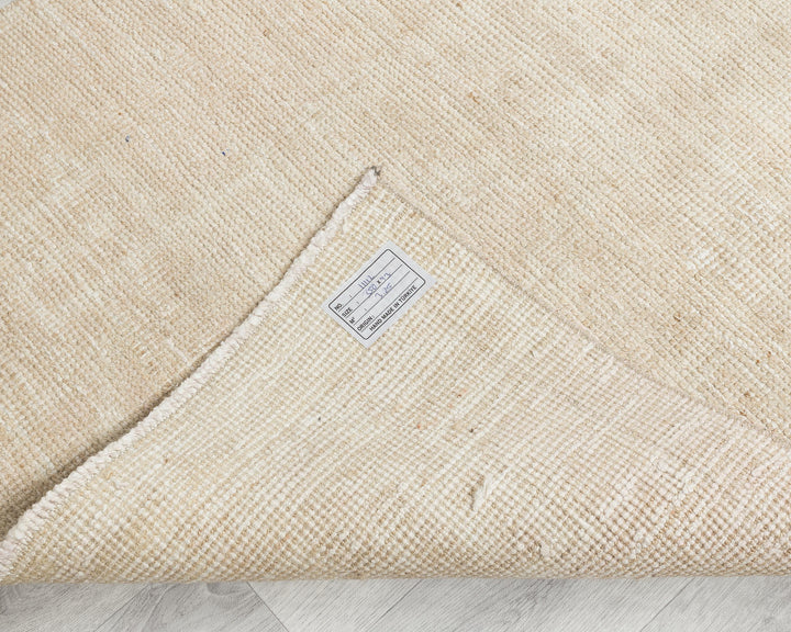 Beige Runner Rug 3' 1" x 11' 6" | No. VR40005