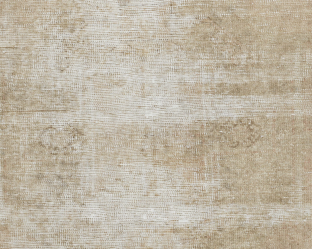 Beige Runner Rug 3' x 11' 6" | No. VR37291
