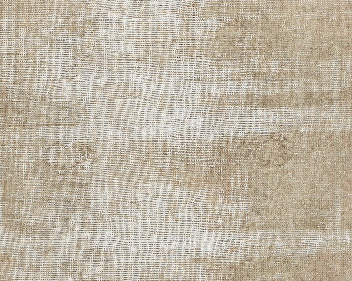 Beige Runner Rug 3' x 11' 6" | No. VR37291