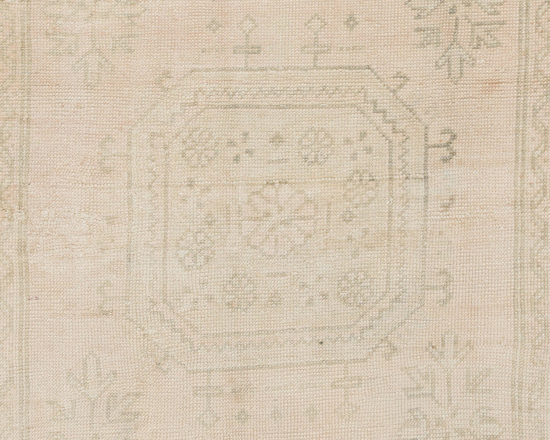 Beige Runner Rug 2' 8" x 10' 11" | No. VR54133