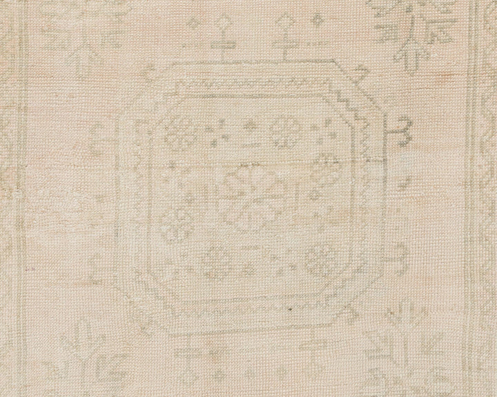 Beige Runner Rug 2' 8" x 10' 11" | No. VR54133