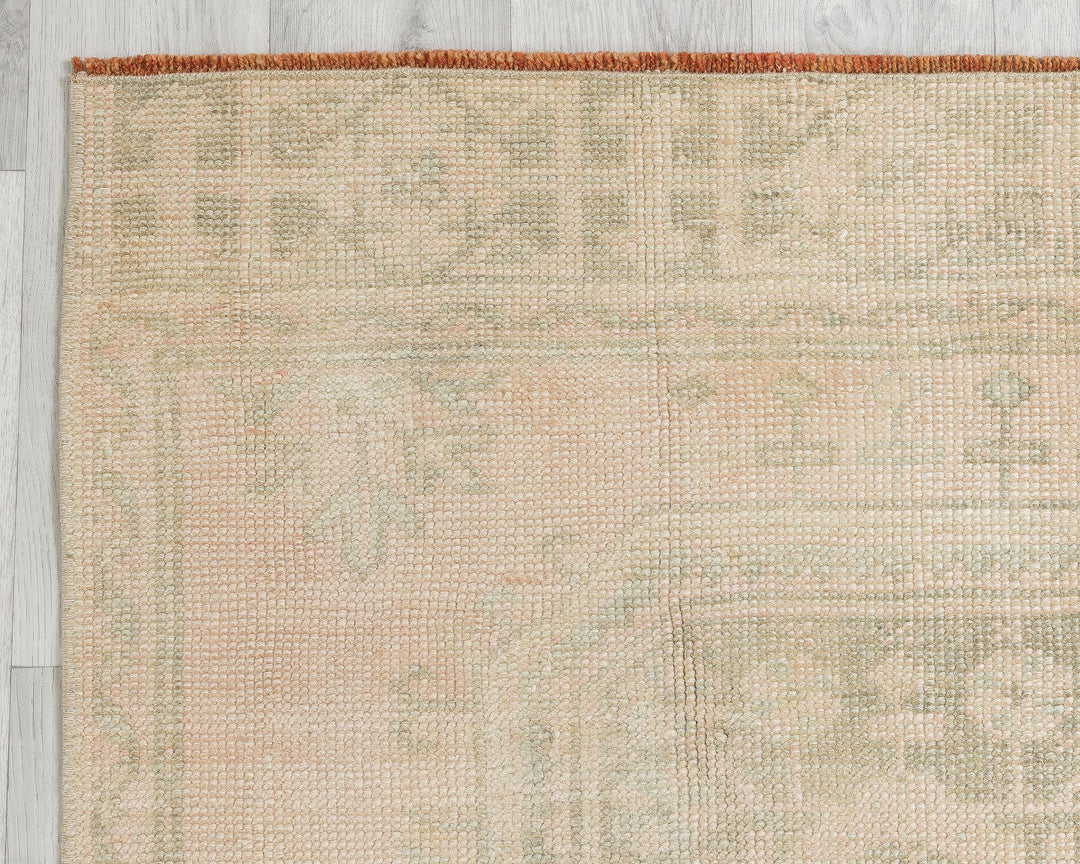 Beige Runner Rug 2' 8" x 10' 11" | No. VR54133