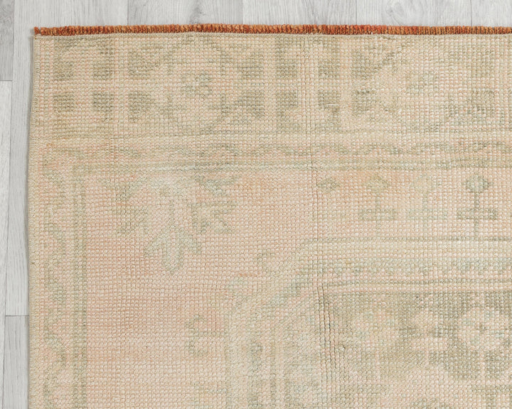 Beige Runner Rug 2' 8" x 10' 11" | No. VR54133
