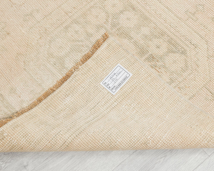 Beige Runner Rug 2' 8" x 10' 11" | No. VR54133