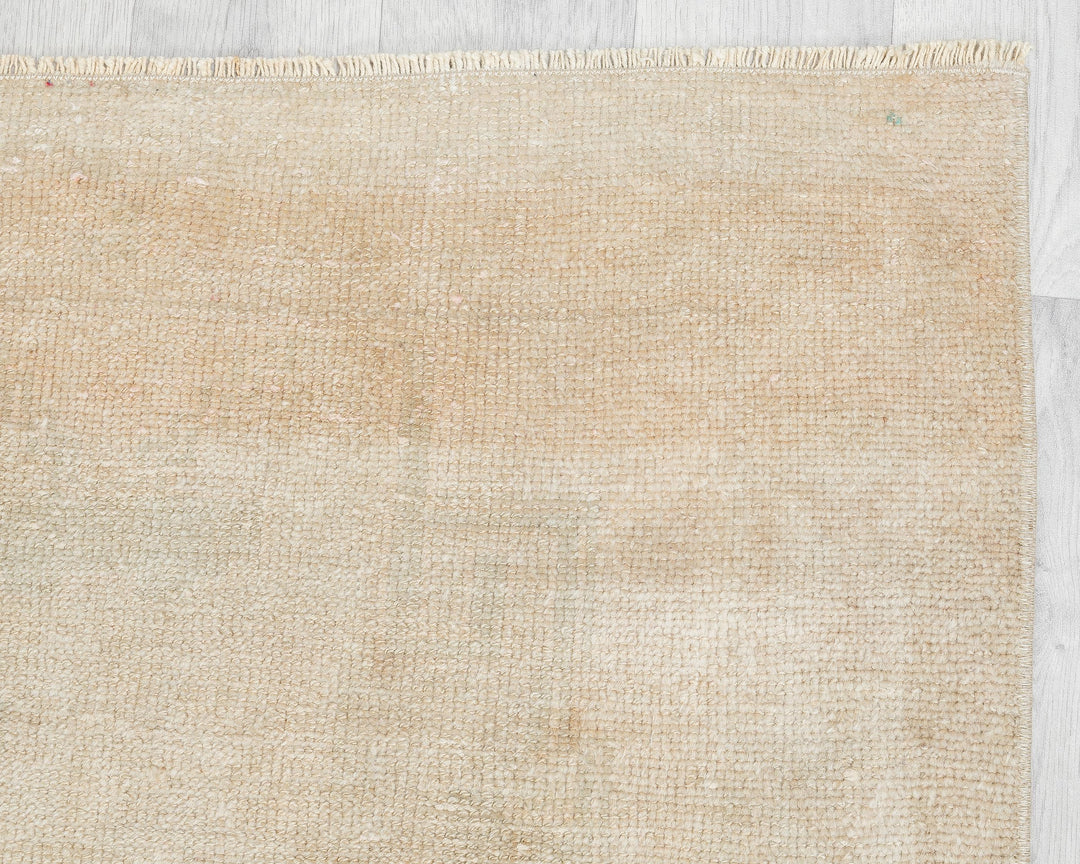 Beige Runner Rug 3' 1" x 11' 6" | No. VR93347