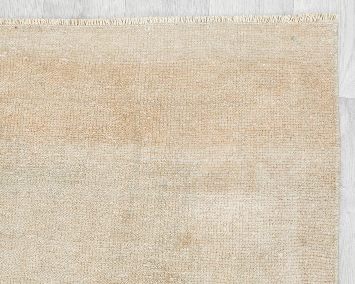 Beige Runner Rug 3' 1" x 11' 6" | No. VR93347