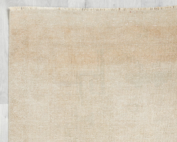 Beige Runner Rug 3' 1" x 11' 6" | No. VR93347