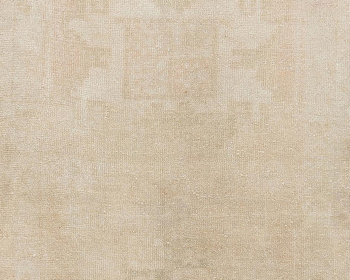 Beige Runner Rug 3' 1" x 11' 6" | No. VR93347