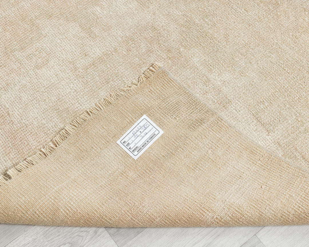 Beige Runner Rug 3' 1" x 11' 6" | No. VR93347