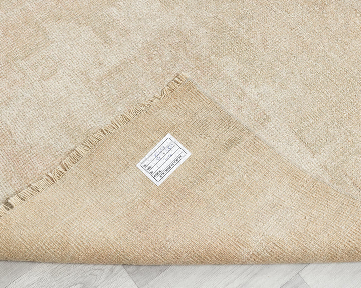 Beige Runner Rug 3' 1" x 11' 6" | No. VR93347