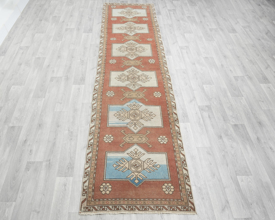 Runner Rug 10' 3" x 2' 9" | No. VR26722