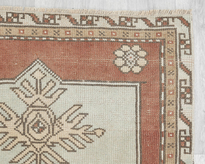 Runner Rug 10' 3" x 2' 9" | No. VR26722