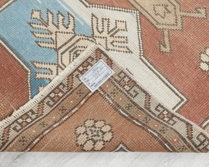 Runner Rug 10' 3" x 2' 9" | No. VR26722
