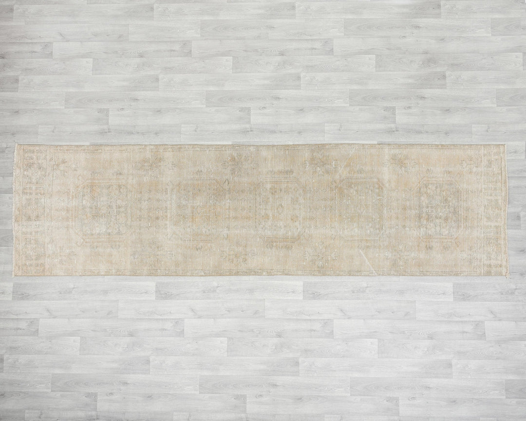 Beige Runner Rug 3' 1" x 11' 2" | No. VR36641