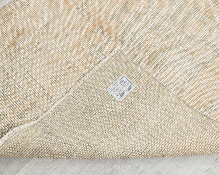 Beige Runner Rug 3' 1" x 11' 2" | No. VR36641