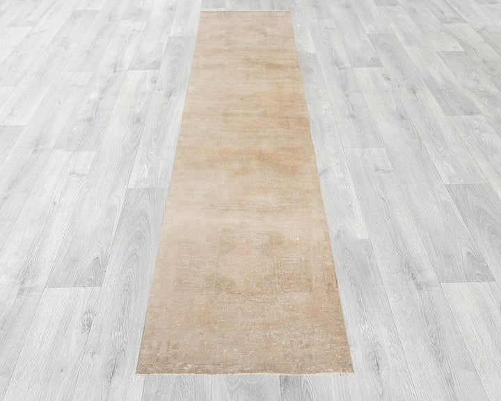 Beige Runner Rug 3' 1" x 12' 7" | No. VR78045