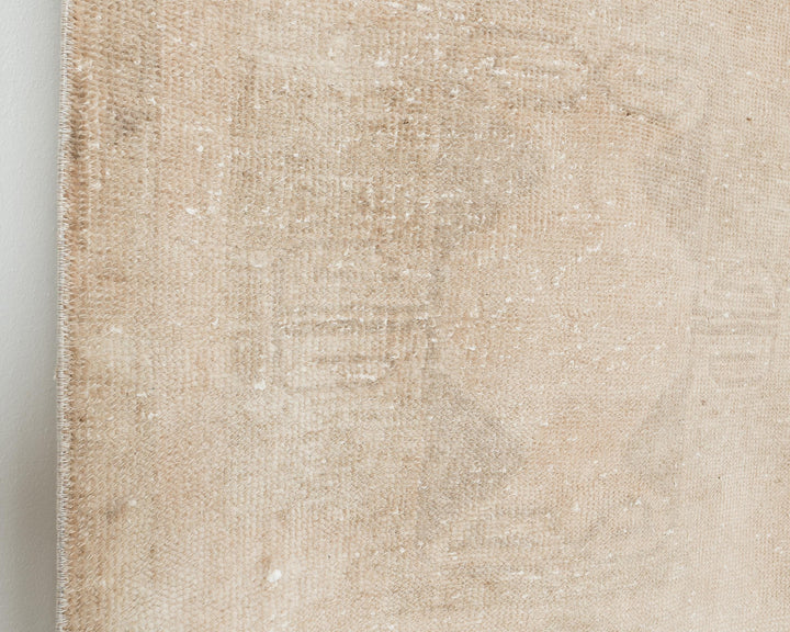 Beige Runner Rug 3' 1" x 12' 7" | No. VR78045