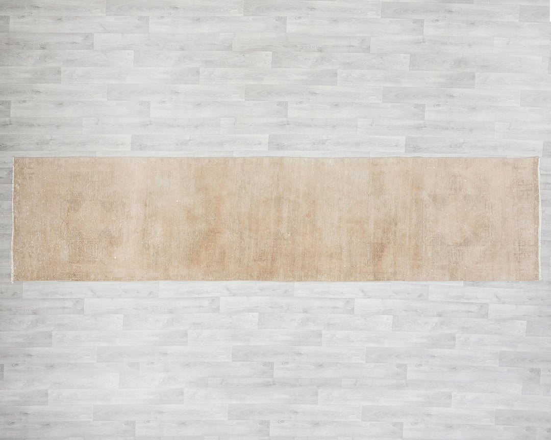 Beige Runner Rug 3' 1" x 12' 7" | No. VR78045