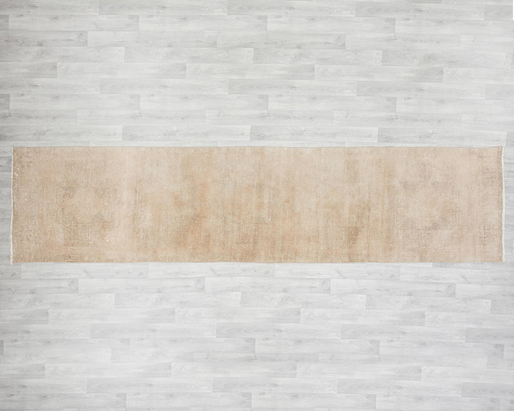 Beige Runner Rug 3' 1" x 12' 7" | No. VR78045