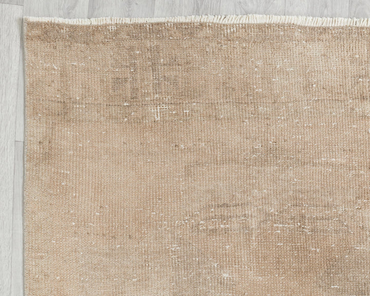 Beige Runner Rug 3' 1" x 12' 7" | No. VR78045