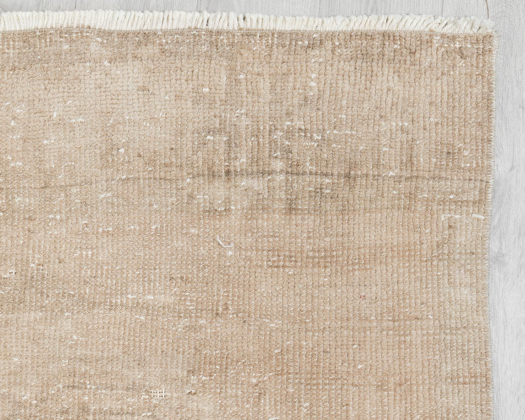 Beige Runner Rug 3' 1" x 12' 7" | No. VR78045