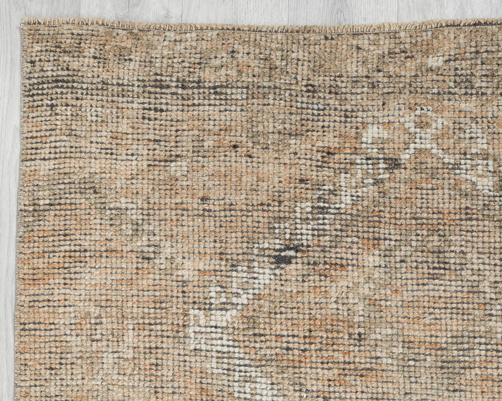 Beige Runner Rug 3' 1" x 11' 1" | No. VR72140