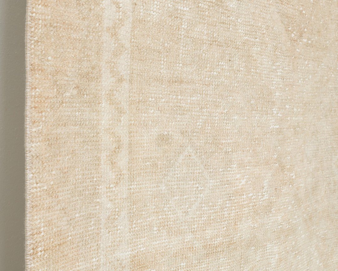 Beige Runner Rug 3' x 10' 10" | No. VR82095