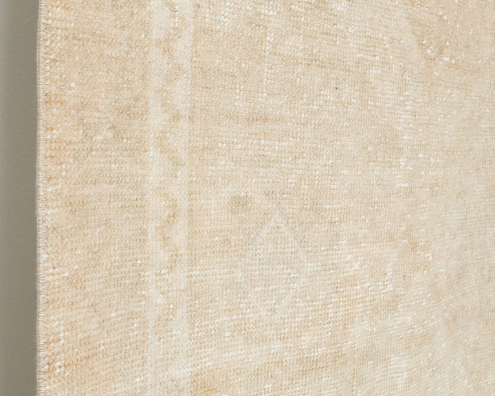Beige Runner Rug 3' x 10' 10" | No. VR82095